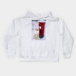 Labrador Postbox Dog Kids Hoodie